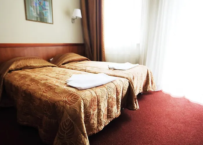 Pusynas & Druskininkai